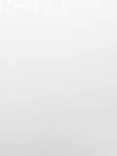 Photographed Xintao cast acrylic chip, code PP422, frosted double-frosted white