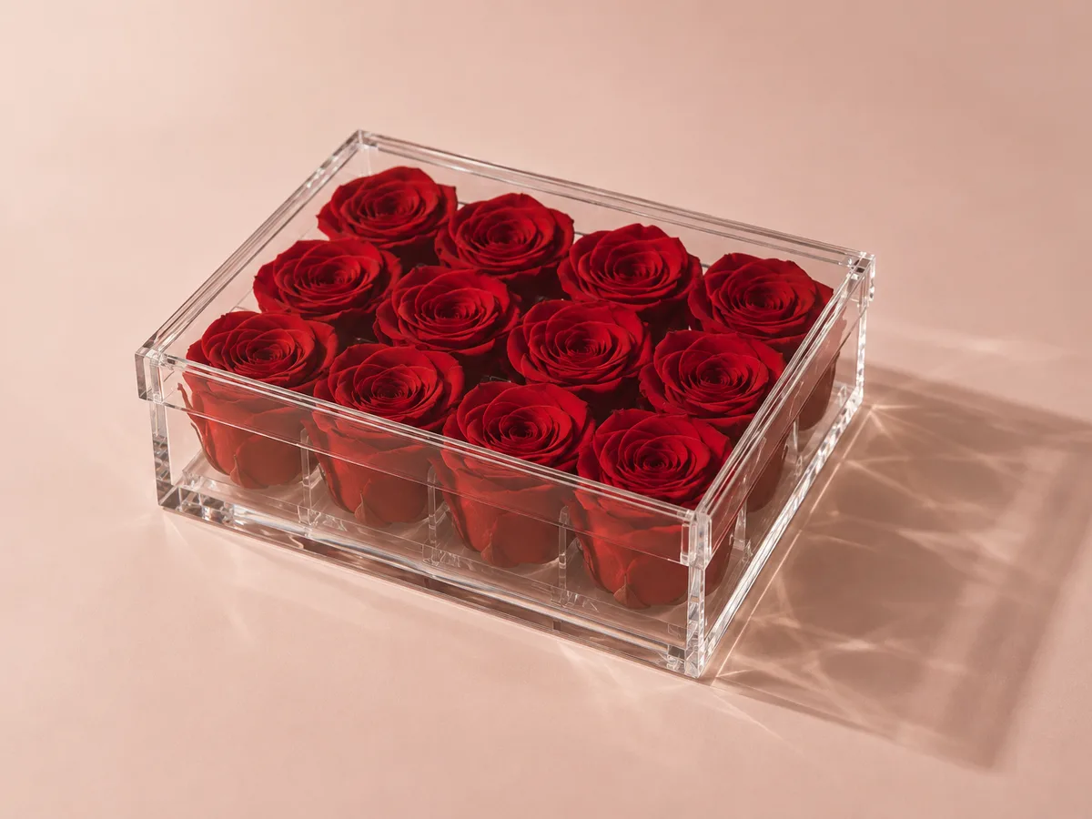 Clear acrylic flower box holding preserved red roses
