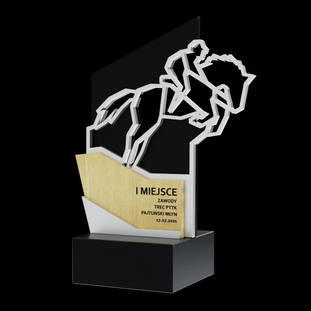 trophies customization 6